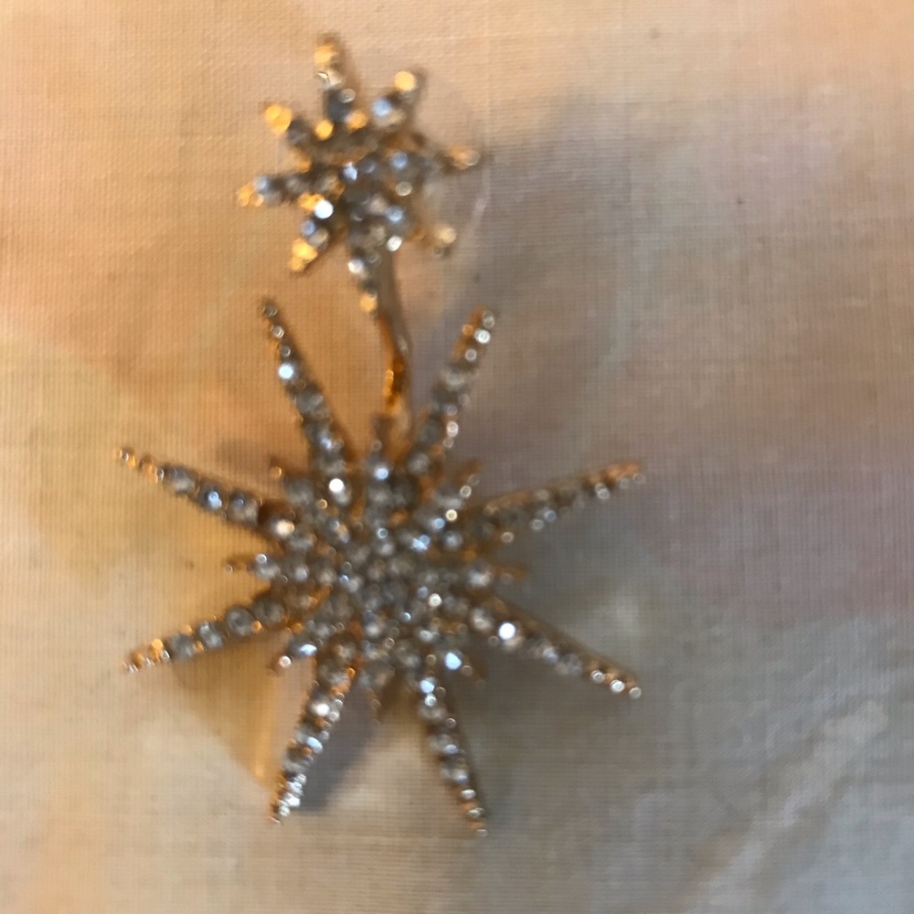 One decorative specialty earring
